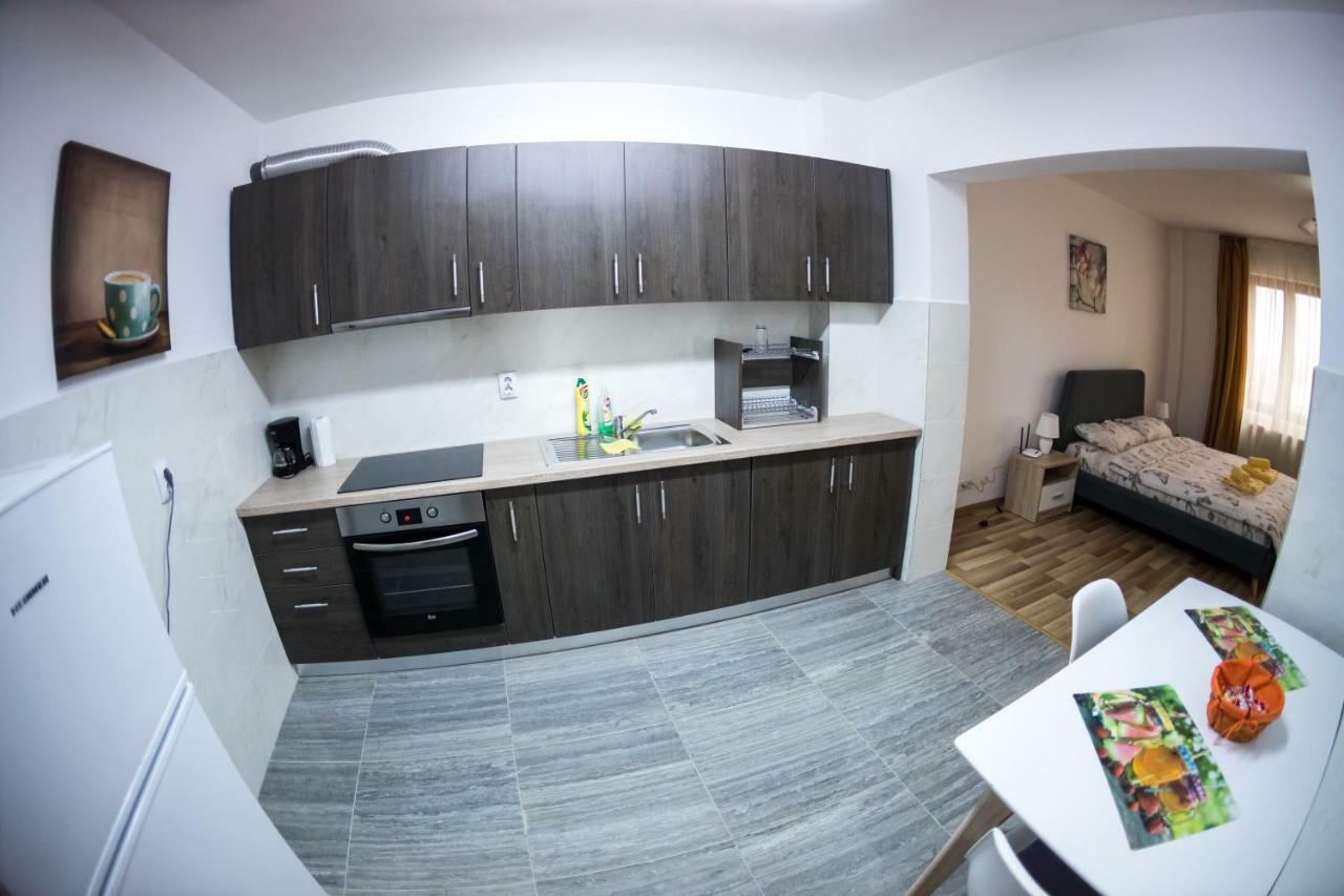 Travel Homzzz Apartments Târgu-Mureş Buitenkant foto